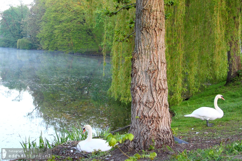 2015-05-02 Rijsterborgherpark, Deventer 003